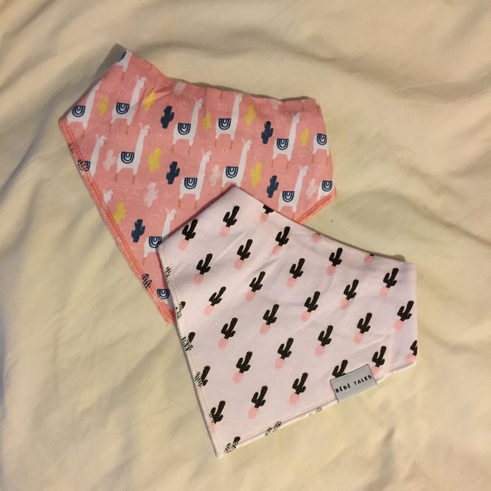 Bandana Bib 2 pack-Girl